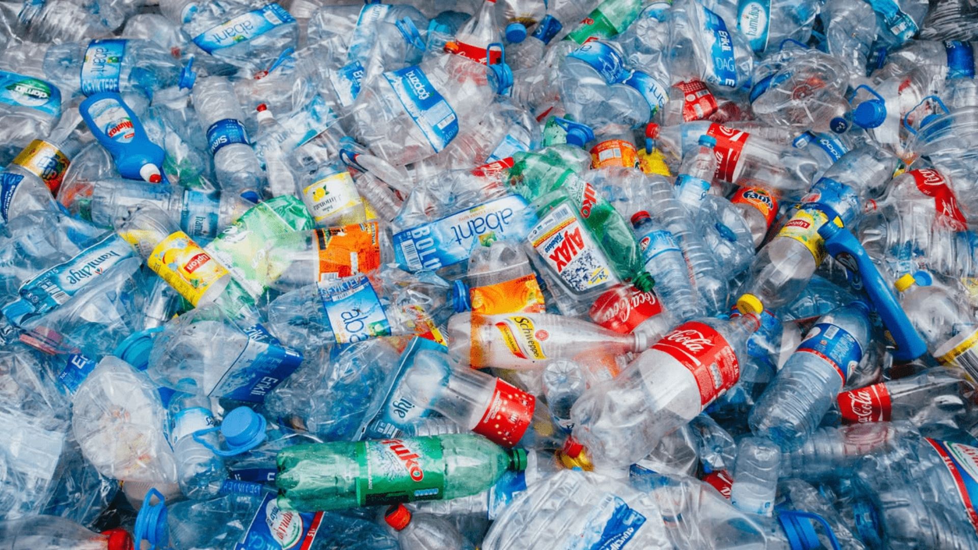 Economia Circolare E Plastica Un Binomio Da Rafforzare Alvearia