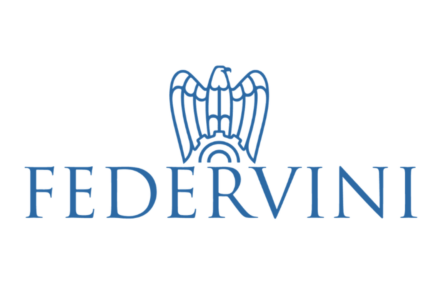 logo federvini