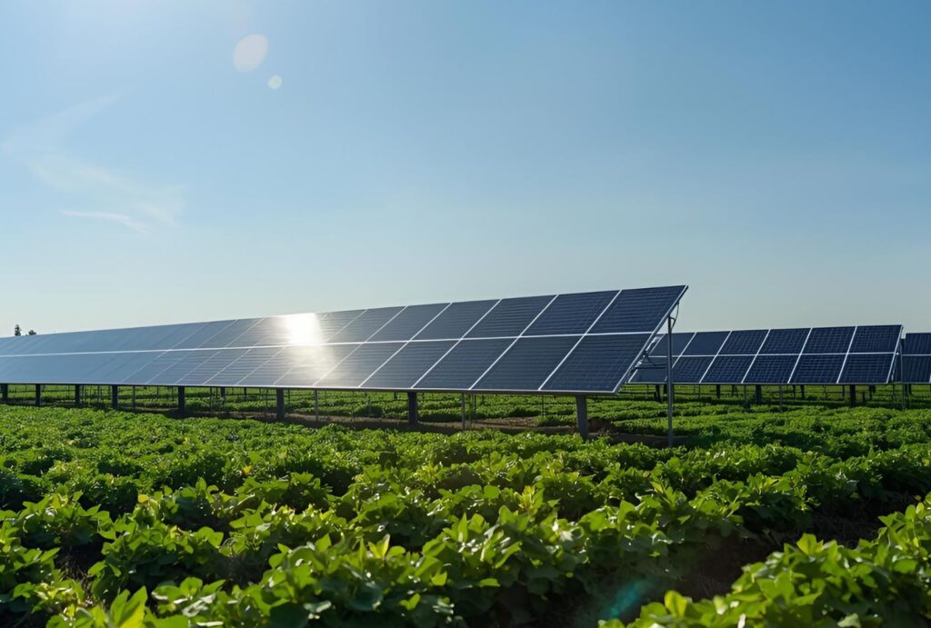 impianto agrivoltaico